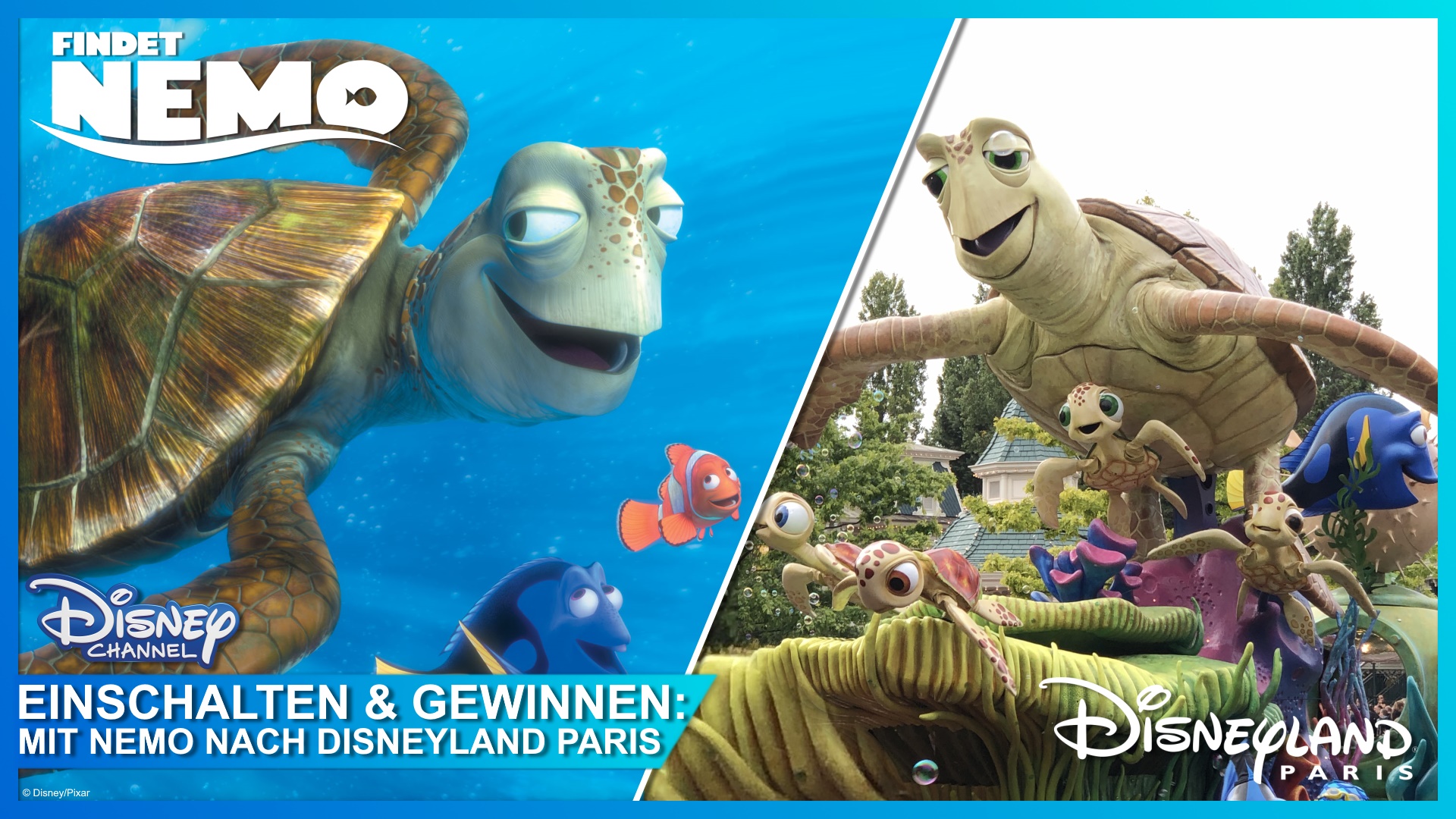 Gewinnspiel-Tipp: „Findet Nemo“ am Freitag um 20:15 im Disney Channel  ansehen und Abenteuerreise nach Disneyland Paris gewinnen! |  DisneyCentral.de – dein Disney Fan Portal