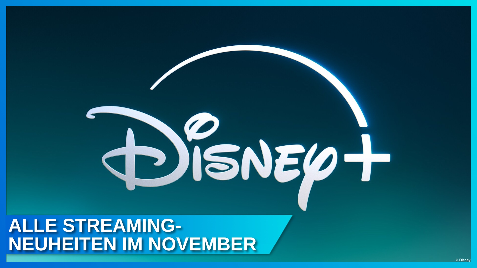 Disney+ Streaming Neuheiten November 2024